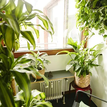 بيت شباب Sleep Station *