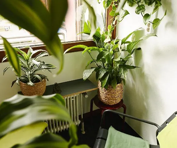 بيت شباب Sleep Station مونستر