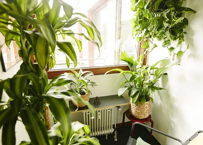 Hostel Sleep Station *